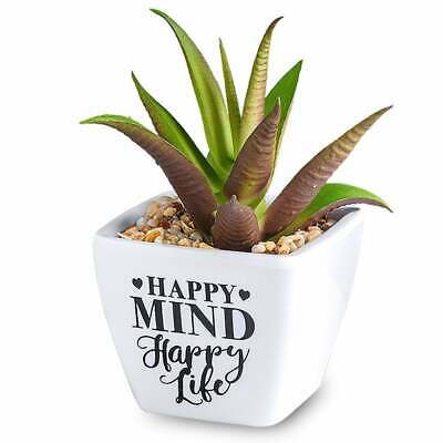 Happy Mind Artificial Plant 