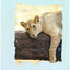 Elastic Cartoon Folder A3