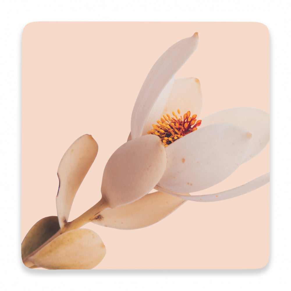 Pink Flower Coaster