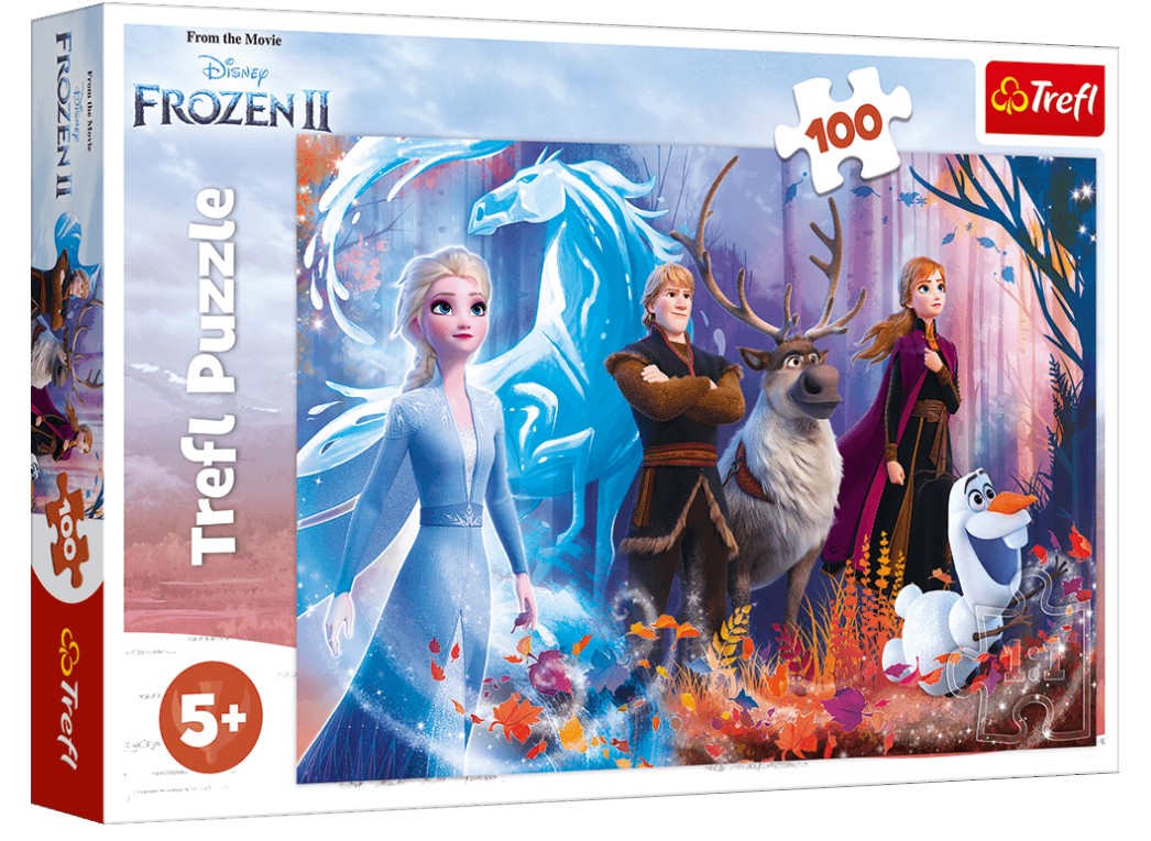 Jigsaw Puzzle - Frozen Ii X100Pcs