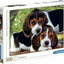 Puzzle 500 puppies close together