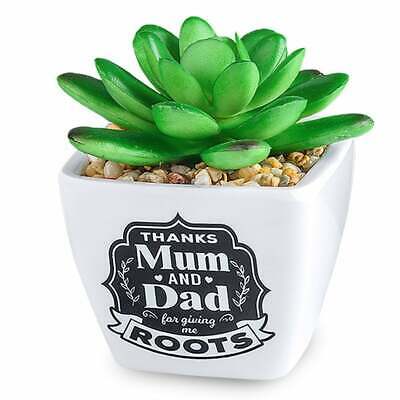 Mum & Dad Artificial Plant 