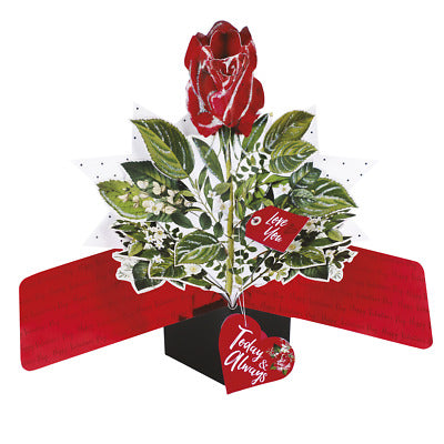 Valentine Card - 3D Pop Up Card - Love You Today And Always