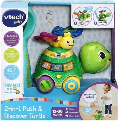 Vtecg Baby 2 In 1 Push & Discover Turtle