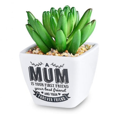 Mum Friend Artificial Plant 